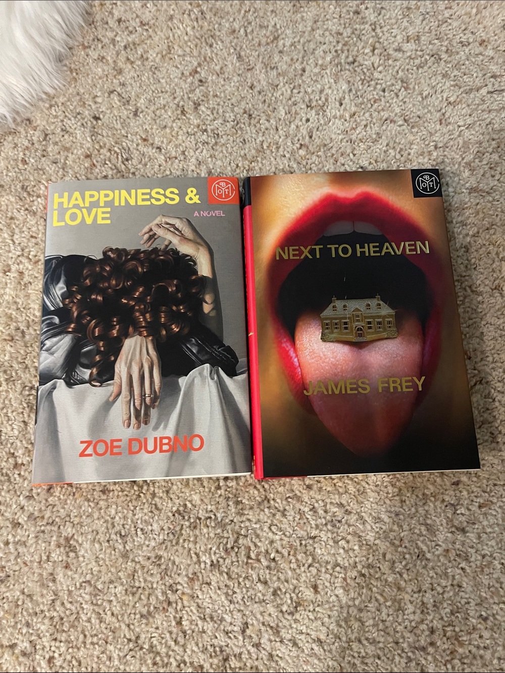 Fiction book bundle: next to heaven & happiness & love